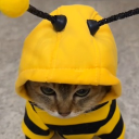 claudness#9975's avatar