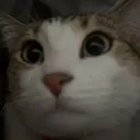 evillee