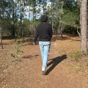 ripavah