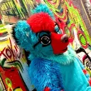 hyenasniff