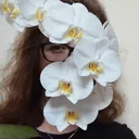 orchidslady