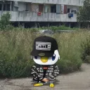 vallivlr