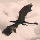 aeryx_ii