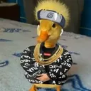 duckbeats