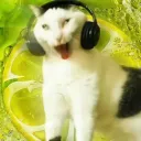 mutsumihan