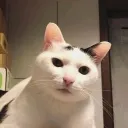jsuistropdrole