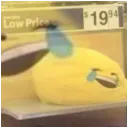 luluhasnoidea