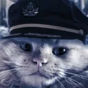 cptkitten