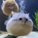 bestthai
