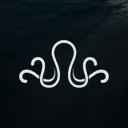 .shendo.