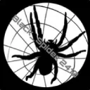 blackspider2410