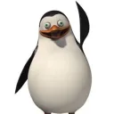 siqcrazi