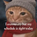 meloj0u