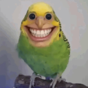 Darkhonix