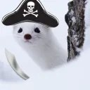 mongoosecorsair