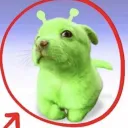lollopunk