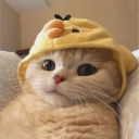 Discord Avatar