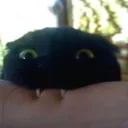 .brrrrrrrrrr