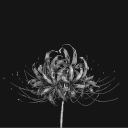 avatar Sashin ㅇㅅㅁ