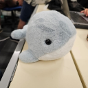 avatar Neeco 🐋🐧