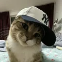elean0r's Avatar