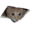 hurhrurur