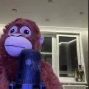 monacodsg