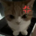 Аватар xom9ik2