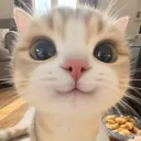fromouterspvce