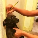 stealthhhhhh