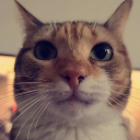 spectrephoenix