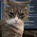 coder98944