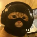 dondiegococonut