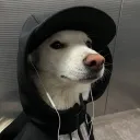 lvbbit