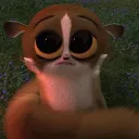 ljsif