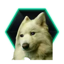xpashtetx
