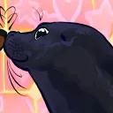rovercrows