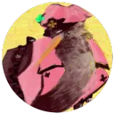 darkiiwi