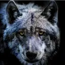 sgt_sweed