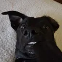 gadi0