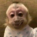 raelaugusto#5751's avatar