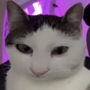 avatar 𝓥𝓲𝓴𝓽𝓸𝓻𝓲𝓪 ⦮ ⦯