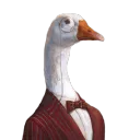 mr.ganso
