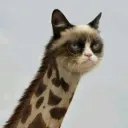 billeyzambie