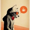 golden_peacock_65234