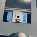 avatar 𝕯𝖆𝖓𝖎𝖟𝖊