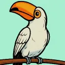 ivory_toucan