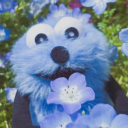 avatar VxVx