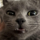 avatar 𝓰𝓾𝓻𝓴𝓮𝓪𝔁片目ドラゴン