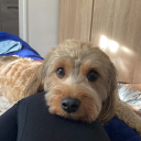 thomastheone.#0594's avatar